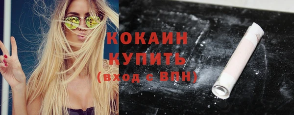 винт Новозыбков