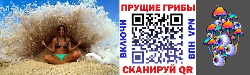 закладки  omg ONION  Галлюциногенные грибы Magic Shrooms  Ступино 