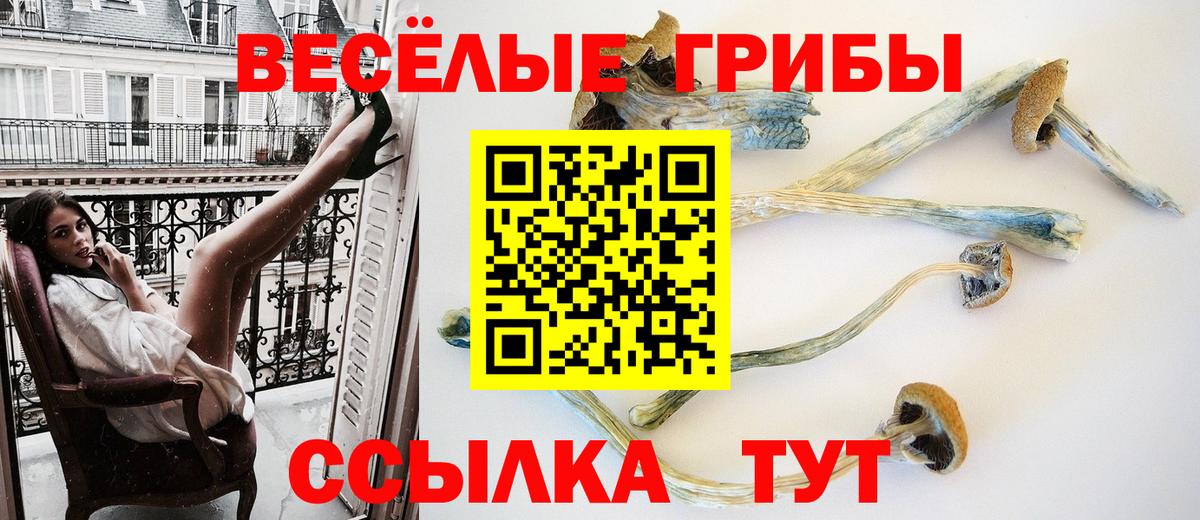 наркота  Вход с VPN  Ступино  Псилоцибиновые грибы прущие грибы 