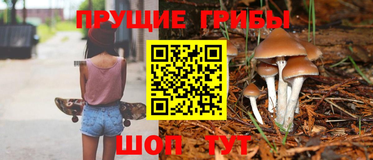 Галлюциногенные грибы мицелий Ступино